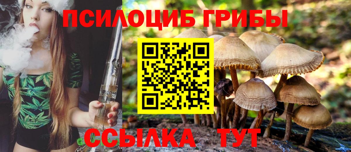 Дальнереченск  Псилоцибиновые грибы Psilocybine cubensis  Галлюциногенные грибы Magic Shrooms  закладка  Вход с VPN 