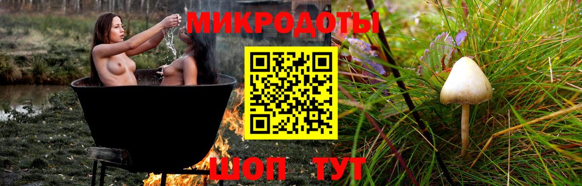 Псилоцибиновые грибы Cubensis Дальнереченск